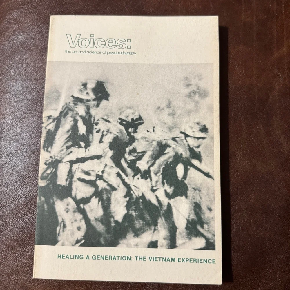 Voices: Healing a Generation - Vietnam Experience Paperback